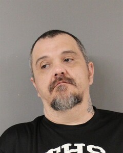 mugshot of RONALD  CROW