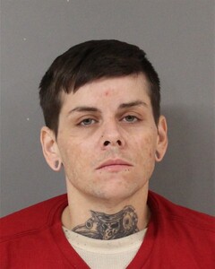 mugshot of AMANDA  FULLER