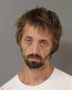 mugshot of WILLIAM  POWELL