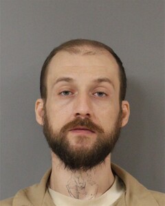 mugshot of MICHAEL  MORGAN