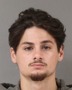 mugshot of SHAWN  NATION
