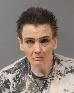 mugshot of KELLIE  ANDRADE