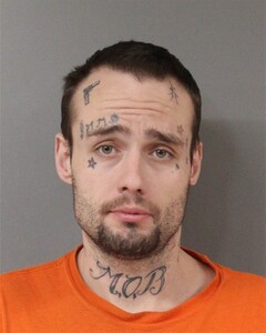 mugshot of TYLER  NELSON