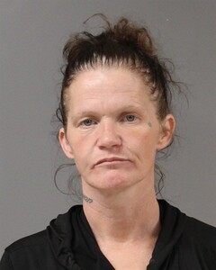 mugshot of MARY  WESTON