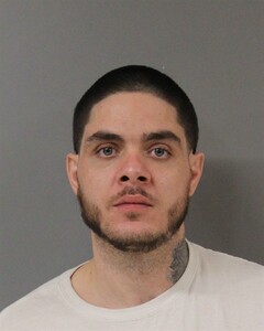 mugshot of DILLON  HALLMAN