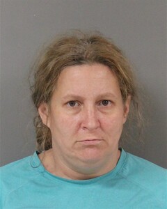mugshot of ALISON  RENO