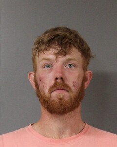 mugshot of MACKENZIE  WHITE