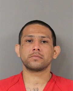 mugshot of JOSE  PESINA