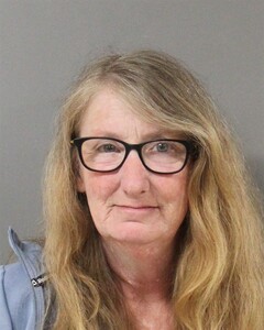 mugshot of MELONDY  GINN