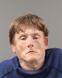 mugshot of WESLEY  MORGAN