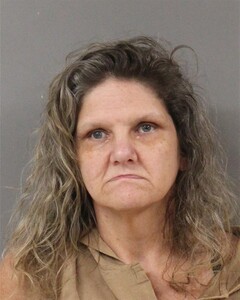 mugshot of LISA  SCRUGGS