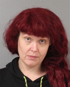 mugshot of SASHA  HYDE