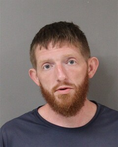 mugshot of MATTHEW  DEES