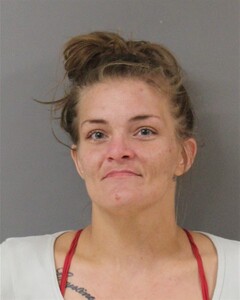 mugshot of SARAH  SHEPHERD
