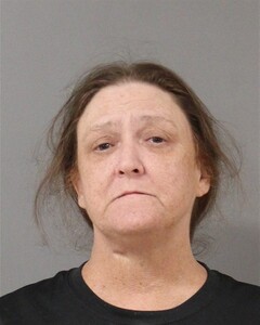mugshot of JULIE  WATERS