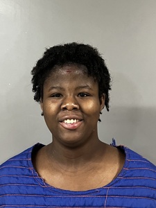 mugshot of SHELEYIA  TERRY