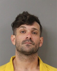 mugshot of CAMERAN  EVANS