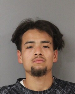 mugshot of SANTIAGO  ESTRADA