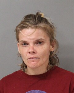 mugshot of ELIZABETH  THOMPSON