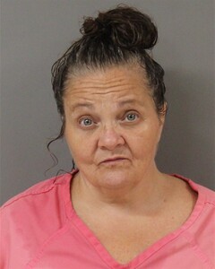 mugshot of TAMI  HALLMAN