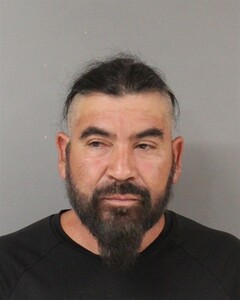 mugshot of JOSE GUADALUPE  TORRES