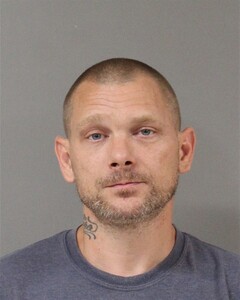 mugshot of RICH  BROWN