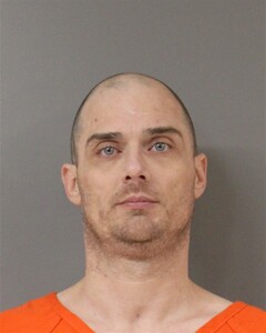 mugshot of WILLIAM  NAIL