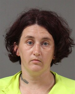 mugshot of MISTY  POWELL