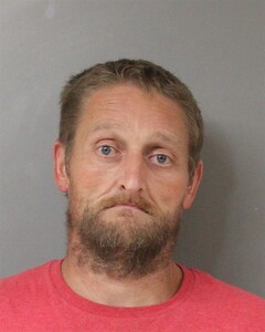 mugshot of MICHAEL  MONROE