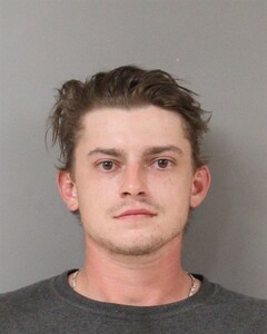 mugshot of GAVYN  HUDSON