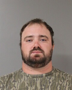 mugshot of DYLAN  GREEN