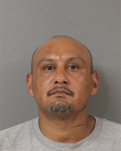mugshot of FREDDIE  FERDIN