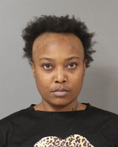 mugshot of TYSHEMA  MCINTOSH