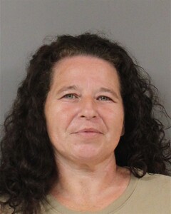 mugshot of DONNA  PUGH