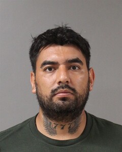 mugshot of REYES  MEJIA
