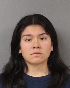 mugshot of LILETZY  VALDEZ-CARBAJAL