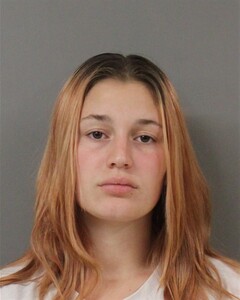 mugshot of AMANDA  GREENLEAF