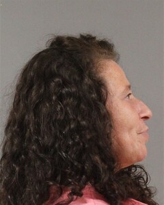mugshot of DONNA  PUGH
