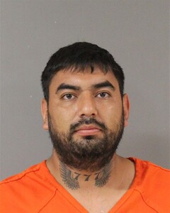 mugshot of REYES  MEJIA