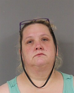 mugshot of JANICE  BIRDSONG
