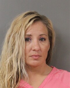 mugshot of JESSICA  MENDIOLA