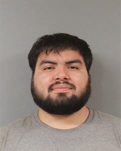 mugshot of OSCAR  RIOS