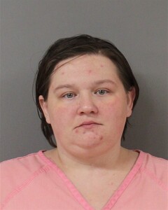 mugshot of TARA  WILEMON