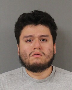 mugshot of LUIS  CARDONA