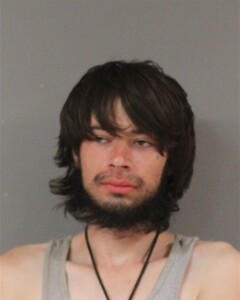 mugshot of TREVOR  FARLEY