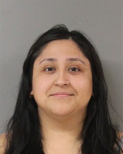 mugshot of CRISTINA  SANCHEZ