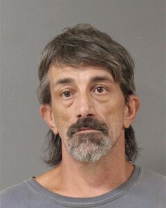 mugshot of DAVID  WEST