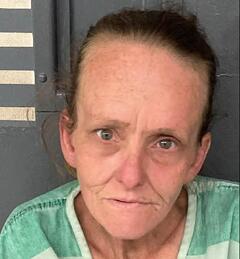 mugshot of AUDRA  CROFT