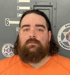 mugshot of ANTHONY  DOMENICK