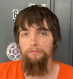 mugshot of TRENTON  THOMPSON